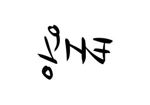 KPOP NCT(엔씨티、エヌシーティー) 태용 (テヨン) k-pop 応援ボード メッセージ 型紙 左右反転