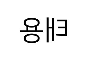 KPOP NCT(엔씨티、エヌシーティー) 태용 (テヨン) プリント用応援ボード型紙、うちわ型紙　韓国語/ハングル文字型紙 左右反転