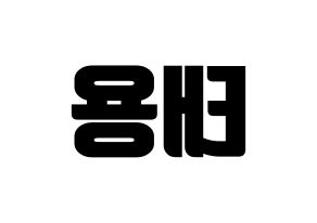 KPOP NCT(엔씨티、エヌシーティー) 태용 (テヨン) コンサート用　応援ボード・うちわ　韓国語/ハングル文字型紙 左右反転