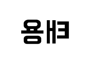 KPOP NCT(엔씨티、エヌシーティー) 태용 (テヨン) k-pop アイドル名前 ファンサボード 型紙 左右反転