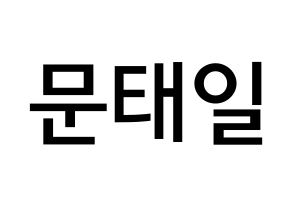 KPOP NCT(엔씨티、エヌシーティー) 태일 (ムン・テイル, テイル) 無料サイン会用、イベント会用応援ボード型紙 通常