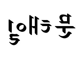 KPOP NCT(엔씨티、エヌシーティー) 태일 (テイル) 応援ボード ハングル 型紙  左右反転