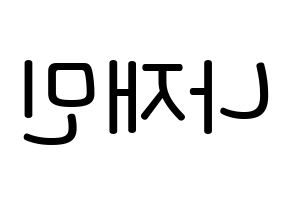 KPOP NCT(엔씨티、エヌシーティー) 재민 (ナ・ジェミン, ジェミン) 無料サイン会用、イベント会用応援ボード型紙 左右反転