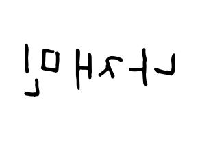 KPOP NCT(엔씨티、エヌシーティー) 재민 (ジェミン) k-pop 応援ボード メッセージ 型紙 左右反転