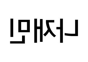 KPOP NCT(엔씨티、エヌシーティー) 재민 (ナ・ジェミン, ジェミン) 無料サイン会用、イベント会用応援ボード型紙 左右反転