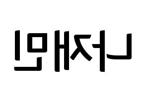 KPOP NCT(엔씨티、エヌシーティー) 재민 (ジェミン) k-pop アイドル名前 ファンサボード 型紙 左右反転