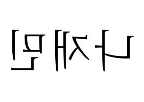 KPOP NCT(엔씨티、エヌシーティー) 재민 (ジェミン) 応援ボード・うちわ　韓国語/ハングル文字型紙 左右反転