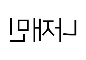 KPOP NCT(엔씨티、エヌシーティー) 재민 (ジェミン) プリント用応援ボード型紙、うちわ型紙　韓国語/ハングル文字型紙 左右反転