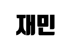 KPOP NCT(엔씨티、エヌシーティー) 재민 (ジェミン) コンサート用　応援ボード・うちわ　韓国語/ハングル文字型紙 通常