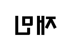 KPOP NCT(엔씨티、エヌシーティー) 재민 (ナ・ジェミン, ジェミン) 応援ボード、うちわ無料型紙、応援グッズ 左右反転