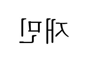 KPOP NCT(엔씨티、エヌシーティー) 재민 (ジェミン) 応援ボード・うちわ　韓国語/ハングル文字型紙 左右反転
