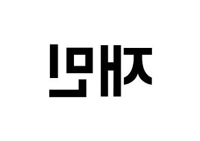 KPOP NCT(엔씨티、エヌシーティー) 재민 (ジェミン) k-pop アイドル名前 ファンサボード 型紙 左右反転