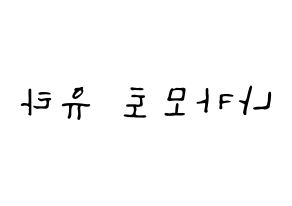 KPOP NCT(엔씨티、エヌシーティー) 유타 (ユウタ) 応援ボード ハングル 型紙  左右反転