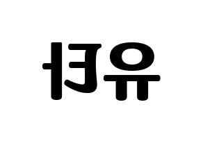 KPOP NCT(엔씨티、エヌシーティー) 유타 (ユウタ) コンサート用　応援ボード・うちわ　韓国語/ハングル文字型紙 左右反転