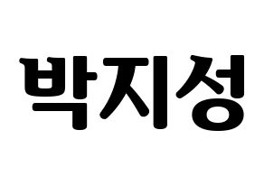 KPOP NCT(엔씨티、エヌシーティー) 지성 (チソン) コンサート用　応援ボード・うちわ　韓国語/ハングル文字型紙 通常