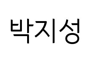 KPOP NCT(엔씨티、エヌシーティー) 지성 (チソン) コンサート用　応援ボード・うちわ　韓国語/ハングル文字型紙 通常