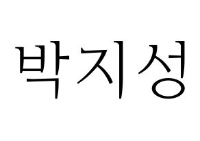 KPOP NCT(엔씨티、エヌシーティー) 지성 (チソン) 応援ボード・うちわ　韓国語/ハングル文字型紙 通常