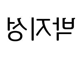 KPOP NCT(엔씨티、エヌシーティー) 지성 (チソン) プリント用応援ボード型紙、うちわ型紙　韓国語/ハングル文字型紙 左右反転