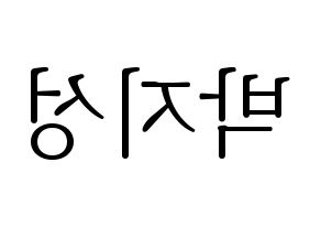 KPOP NCT(엔씨티、エヌシーティー) 지성 (チソン) 応援ボード・うちわ　韓国語/ハングル文字型紙 左右反転