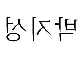 KPOP NCT(엔씨티、エヌシーティー) 지성 (チソン) 応援ボード・うちわ　韓国語/ハングル文字型紙 左右反転