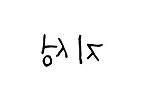 KPOP NCT(엔씨티、エヌシーティー) 지성 (チソン) 名前 応援ボード 作り方 左右反転