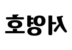 KPOP NCT(엔씨티、エヌシーティー) 쟈니 (ジャニー) コンサート用　応援ボード・うちわ　韓国語/ハングル文字型紙 左右反転