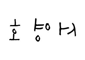 KPOP NCT(엔씨티、エヌシーティー) 쟈니 (ソ・ヨンホ, ジャニー) 無料サイン会用、イベント会用応援ボード型紙 左右反転