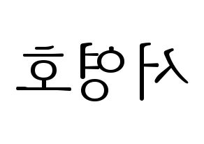 KPOP NCT(엔씨티、エヌシーティー) 쟈니 (ジャニー) 応援ボード・うちわ　韓国語/ハングル文字型紙 左右反転