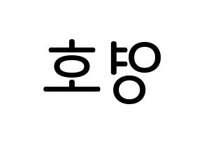 KPOP NCT(엔씨티、エヌシーティー) 쟈니 (ソ・ヨンホ, ジャニー) 無料サイン会用、イベント会用応援ボード型紙 左右反転