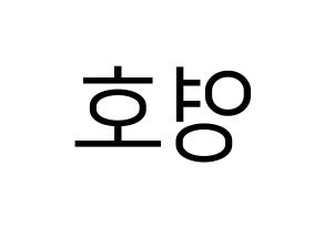 KPOP NCT(엔씨티、エヌシーティー) 쟈니 (ジャニー) プリント用応援ボード型紙、うちわ型紙　韓国語/ハングル文字型紙 左右反転