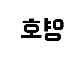 KPOP NCT(엔씨티、エヌシーティー) 쟈니 (ジャニー) k-pop アイドル名前 ファンサボード 型紙 左右反転