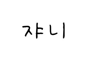 KPOP NCT(엔씨티、エヌシーティー) 쟈니 (ジャニー) k-pop 応援ボード メッセージ 型紙 通常