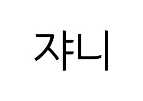 KPOP NCT(엔씨티、エヌシーティー) 쟈니 (ジャニー) コンサート用　応援ボード・うちわ　韓国語/ハングル文字型紙 通常