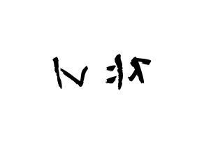 KPOP NCT(엔씨티、エヌシーティー) 쟈니 (ソ・ヨンホ, ジャニー) 応援ボード、うちわ無料型紙、応援グッズ 左右反転