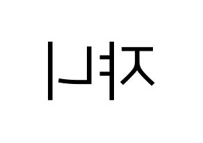 KPOP NCT(엔씨티、エヌシーティー) 쟈니 (ジャニー) プリント用応援ボード型紙、うちわ型紙　韓国語/ハングル文字型紙 左右反転