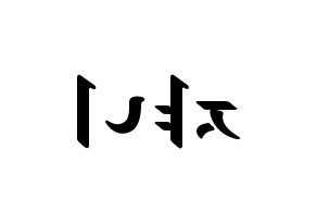 KPOP NCT(엔씨티、エヌシーティー) 쟈니 (ジャニー) 応援ボード ハングル 型紙  左右反転