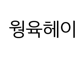 KPOP NCT(엔씨티、エヌシーティー) 루카스 (ルーカス) コンサート用　応援ボード・うちわ　韓国語/ハングル文字型紙 通常