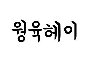 KPOP NCT(엔씨티、エヌシーティー) 루카스 (ウォン・ユッケイ, ルーカス) k-pop アイドル名前　ボード 言葉 通常