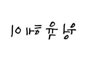 KPOP NCT(엔씨티、エヌシーティー) 루카스 (ルーカス) 応援ボード ハングル 型紙  左右反転