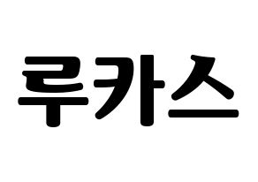 KPOP NCT(엔씨티、エヌシーティー) 루카스 (ルーカス) コンサート用　応援ボード・うちわ　韓国語/ハングル文字型紙 通常