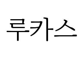 KPOP NCT(엔씨티、エヌシーティー) 루카스 (ルーカス) 応援ボード・うちわ　韓国語/ハングル文字型紙 通常