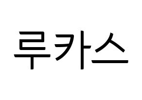 KPOP NCT(엔씨티、エヌシーティー) 루카스 (ルーカス) コンサート用　応援ボード・うちわ　韓国語/ハングル文字型紙 通常