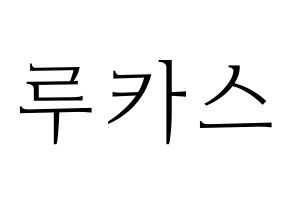 KPOP NCT(엔씨티、エヌシーティー) 루카스 (ルーカス) 応援ボード・うちわ　韓国語/ハングル文字型紙 通常