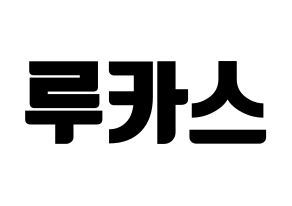 KPOP NCT(엔씨티、エヌシーティー) 루카스 (ルーカス) コンサート用　応援ボード・うちわ　韓国語/ハングル文字型紙 通常