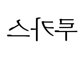 KPOP NCT(엔씨티、エヌシーティー) 루카스 (ルーカス) 応援ボード・うちわ　韓国語/ハングル文字型紙 左右反転