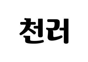 KPOP NCT(엔씨티、エヌシーティー) 천러 (チョンロ) コンサート用　応援ボード・うちわ　韓国語/ハングル文字型紙 通常