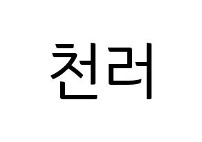 KPOP NCT(엔씨티、エヌシーティー) 천러 (チョンロ) コンサート用　応援ボード・うちわ　韓国語/ハングル文字型紙 通常