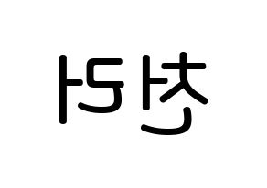 KPOP NCT(엔씨티、エヌシーティー) 천러 (ジョン・チェンラー, チョンロ) 無料サイン会用、イベント会用応援ボード型紙 左右反転