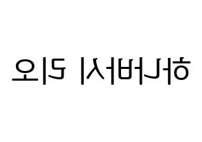 KPOP NiziU(니지유、ニジュー) 리오 (梨緒) プリント用応援ボード型紙、うちわ型紙　韓国語/ハングル文字型紙 左右反転