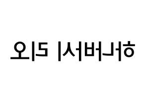 KPOP NiziU(니지유、ニジュー) 리오 (花橋梨緒, 梨緒) 無料サイン会用、イベント会用応援ボード型紙 左右反転